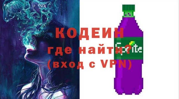 индика Бугульма