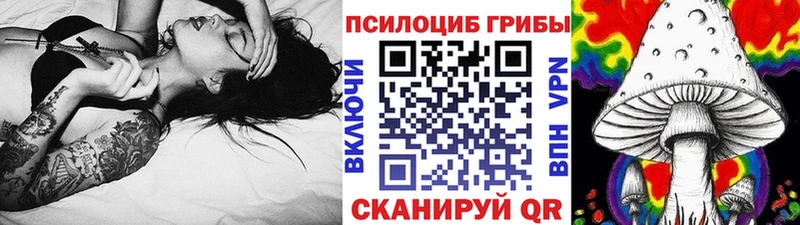 купить наркотики сайты  Котово  Псилоцибиновые грибы GOLDEN TEACHER 